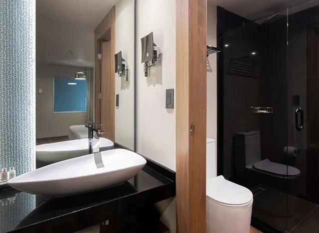 غرفة تنفيذية بسريرين مزدوجين، Hotel Real del Río 6/6