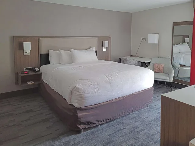 غرفة بسرير كينج لذوي الإعاقة، Comfort Inn & Suites Wyomissing/Reading 6/8