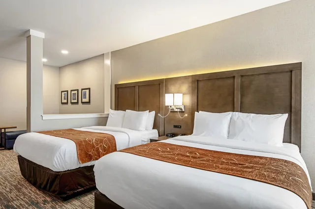 جناح بسريرين كوين لذوي الإعاقة، Comfort Suites Grove City Columbus South 1/3