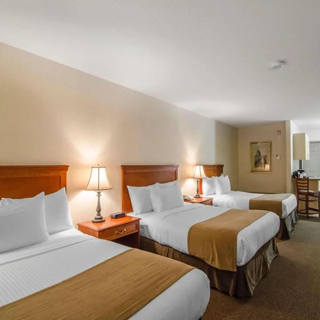 غرفة بسرير مزدوج، Quality Inn & Suites Grande Prairie 4/9