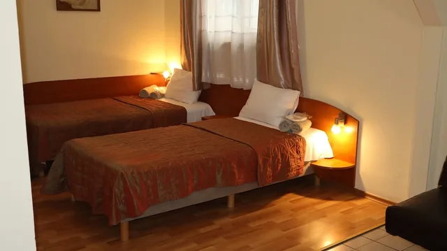 Standard, Twin Beds, Palitra Family Hotel 1/3