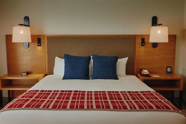 Deluxe, King Bed, Accessible, Limelight Ketchum Idaho 4/7