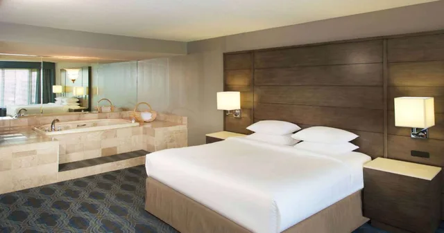 جناح جونيور بجاكوزي، Doubletree By Hilton Bloomington Minneapolis South 1/3