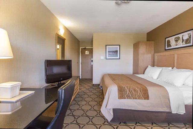 جناح بسرير كينج، Comfort Inn Corner Brook 10/10