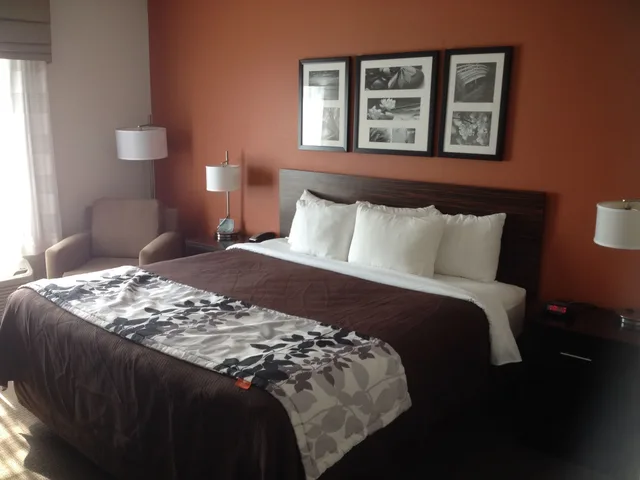Standard, King Bed, Sleep Inn & Suites Elk City Route 66 3/7