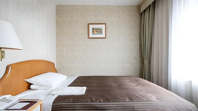 Petite, Double Bed, Smoking, Hotel Okura Niigata 1/1