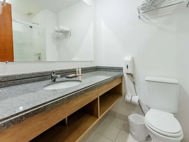 شقة سوبيريور بسرير مزدوج لذوي الإعاقة، ibis Styles Campinas Alphaville 5/5