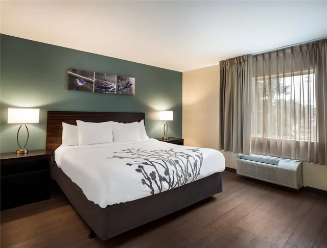 جناح بسرير كينج، Sleep Inn Savannah Midtown 2/4