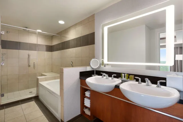 جناح بسرير كينج بغرفة نوم واحدة، Hilton Baltimore Bwi Airport 2/2