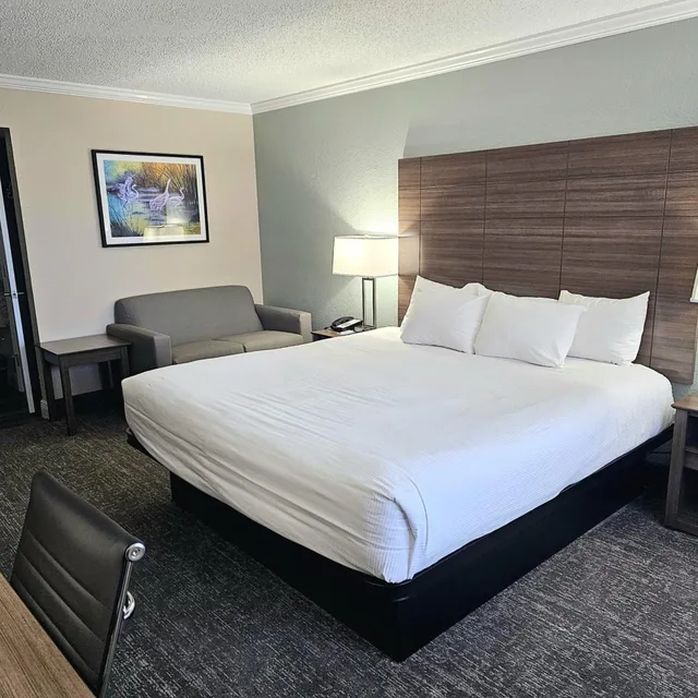 غرفة بسرير كينج لذوي الإعاقة، Roadstar Hotel Zephyrhills 1/7