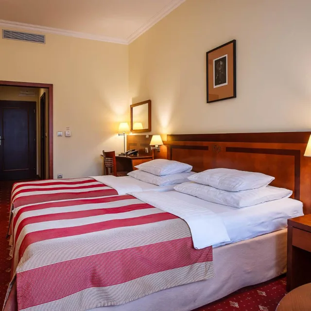 Room, Single, Hotel Villa 2/6