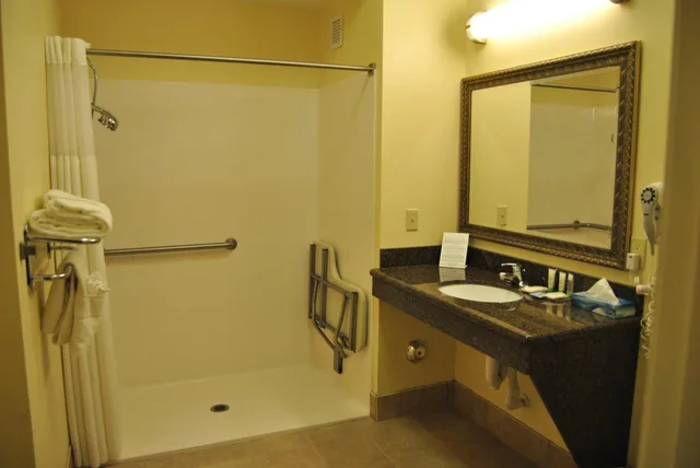 جناح بسرير كوين بغرفة نوم واحدة لذوي الإعاقة، Staybridge Suites Lansing-Okemos 3/4
