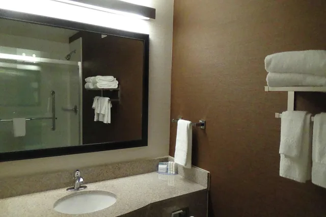 استوديو بسرير كينج لذوي الإعاقة، FAIRFIELD INN & SUITES ATLANTA BUFORD/MALL OF GEORGIA 2/3