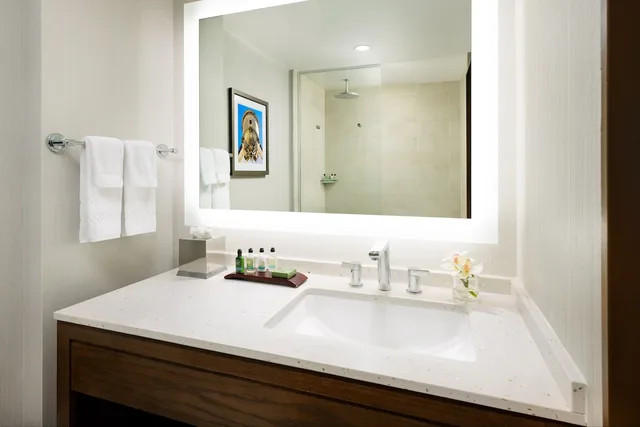 غرفة بريميوم بسرير كينج مع أريكة، The Anza A Calabasas Hotel 4/4