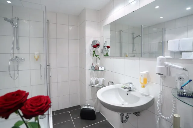 غرفة قياسية ركنية بسرير فردي، Best Western Hotel Rosenau 7/7