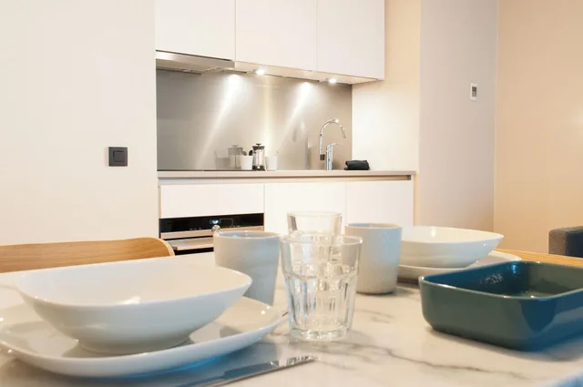 استوديو تنفيذي عائلي بمطبخ، Premier Suites Plus Antwerp 4/4