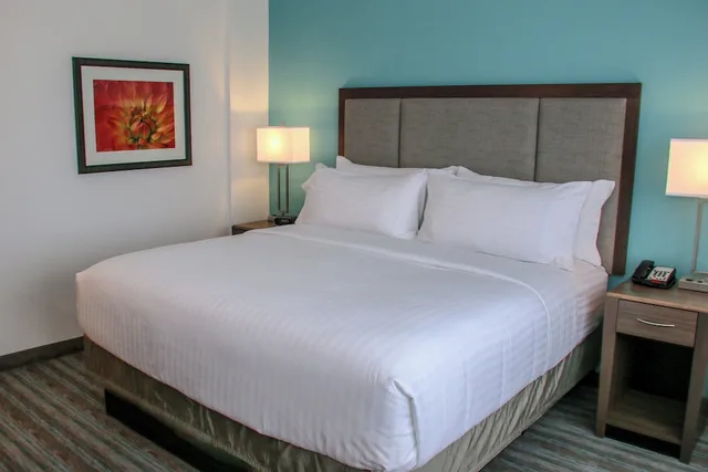 جناح بسرير كينج بحوض استحمام لذوي الإعاقة، Holiday Inn Hotel Suites Denver Tech Center Centennial 3/8