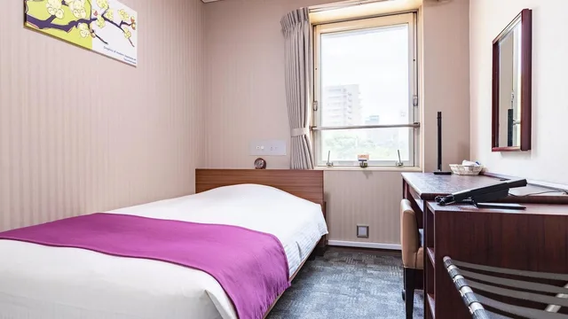 Budget, Single, Central Hotel Okayama 1/1
