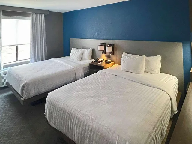 جناح بسرير كوين لذوي الإعاقة، Comfort Suites Mobile-South Alabama University Area 2/5