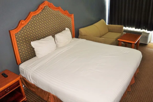 غرفة مفردة بسرير كينج، Hotel elev8 1/5