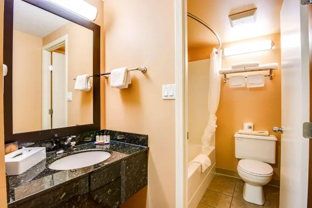 جناح بسرير كينج، Quality Hotel & Conference Centre Peace River 3/3