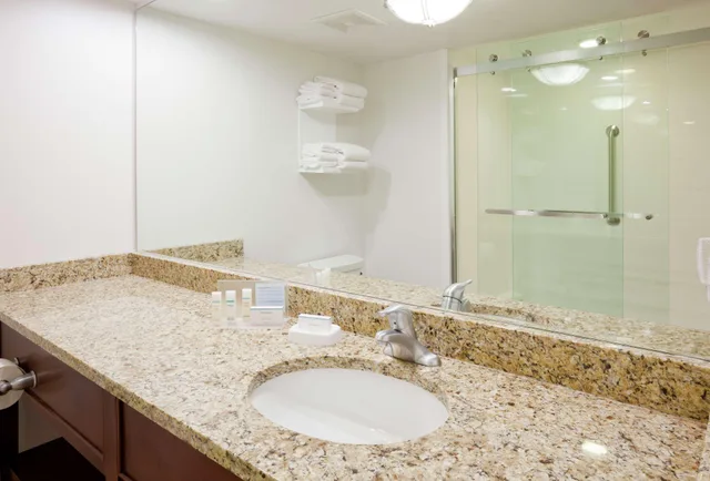 جناح بسرير كينج بإطلالة على البحيرة بغرفة نوم واحدة بحوض جاكوزي، Hampton Inn Duluth Canal Park 2/2