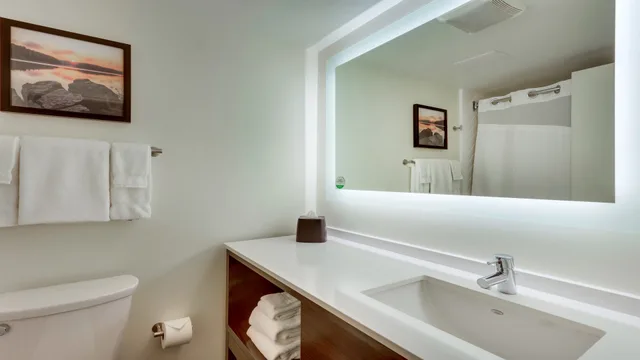 غرفة بسرير كينج لذوي الإعاقة، Holiday Inn Staunton Conference Center 2/2