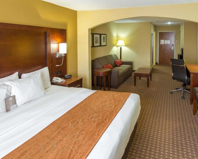 Suite, King Bed, Comfort Suites Port Allen - Baton Rouge 1/6