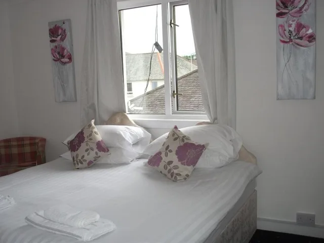 غرفة قياسية مفردة، The County Hotel 1/8