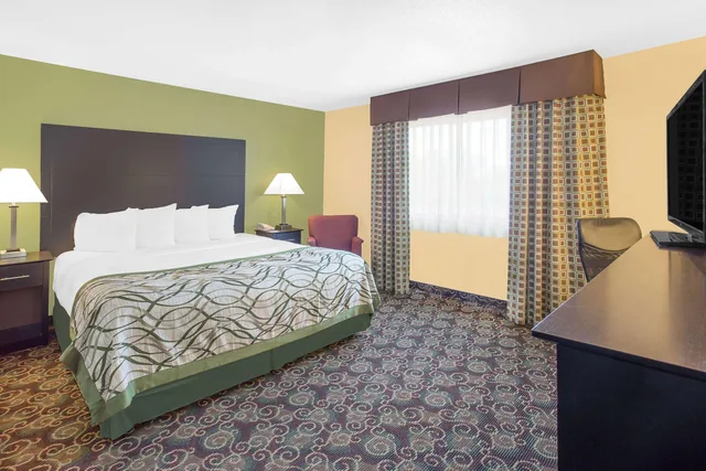 غرفة بسرير كينج يُسمح فيها بالحيوانات الأليفة، Baymont By Wyndham Holland 1/1