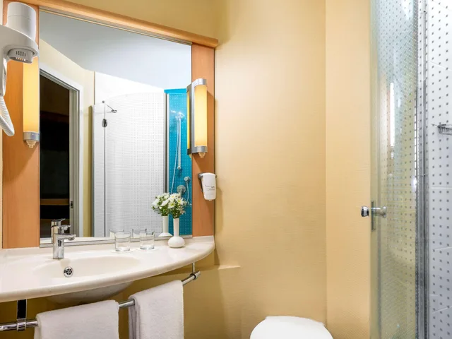 غرفة قياسية بسريرين منفصلين، Ibis Adana 4/7