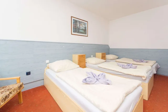 Family, 2 Double and Twin Beds، Sport Resort Hotel Gejzirpark 2/4