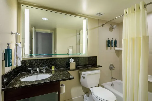 1 King Bed Studio W/Balcony and Sofabed، DoubleTree by Hilton Hotel Denver 2/2