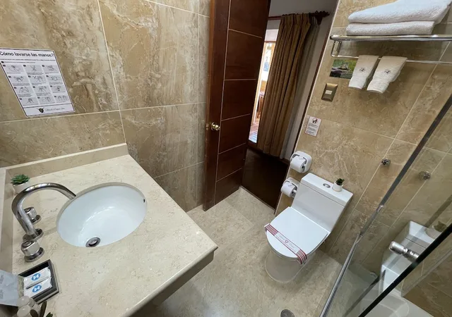 غرفة جونيور بسرير كينج، Hotel Rojas 5/6