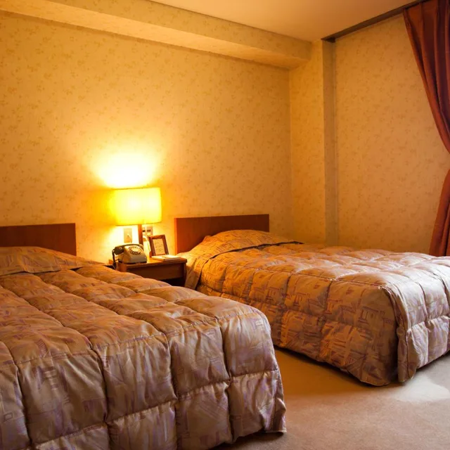 غرفة مفردة، Hotel Shiga Sunvalley 3/8