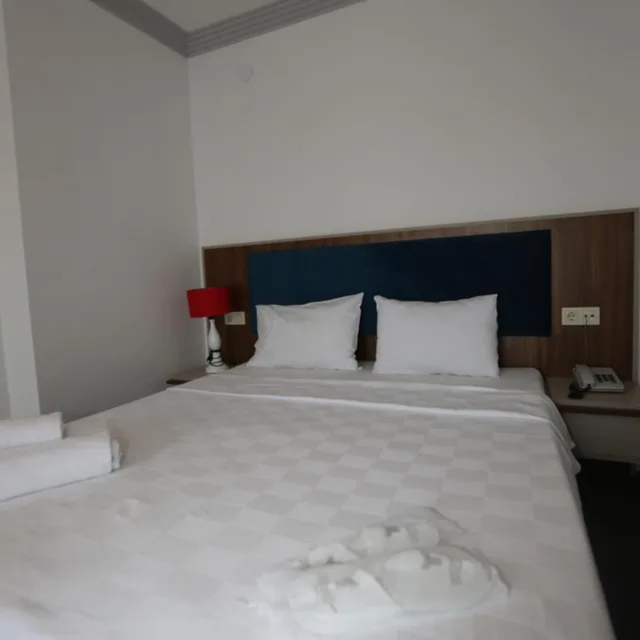 غرفة ديلوكس بسرير كينج، Tevetoglu Hotel 1/3