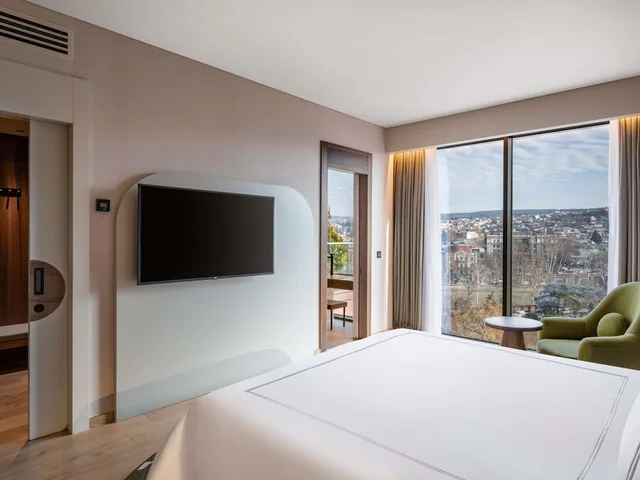 Swiss, Business, Double Bed، Swissotel Tbilisi 4/9