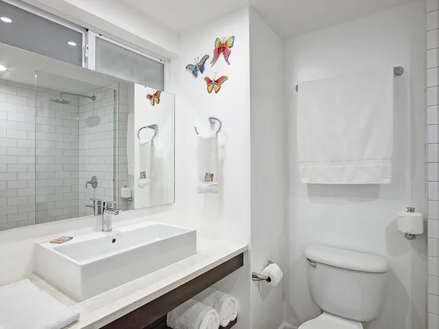 Deluxe, Studio, King Bed, Island View، Butterfly Beach Hotel 4/5