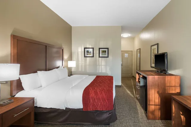 غرفة قياسية بسرير كينج، Comfort Inn and Suites Cedar Hill Duncanville 1/4