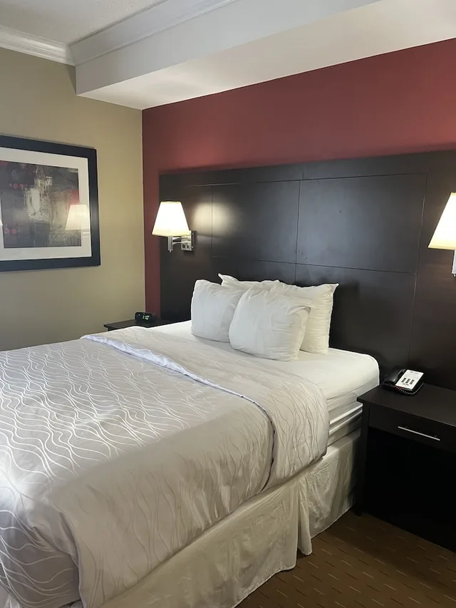 غرفة قياسية بسرير كوين، Best Western Plus Bowmanville 3/7