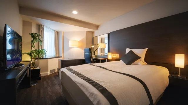 غرفة ديلوكس مفردة، Air Terminal Hotel 1/1