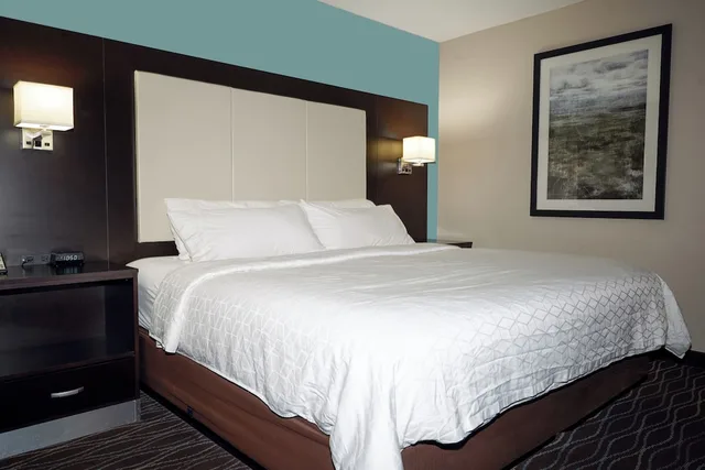 غرفة قياسية بسرير كينج لذوي الإعاقة، Holiday Inn Express Boise University Area 4/6