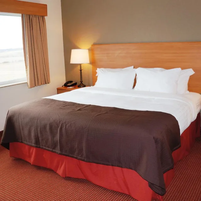 جناح سوبيريور بسرير كينج، AmericInn by Wyndham Anamosa 4/10