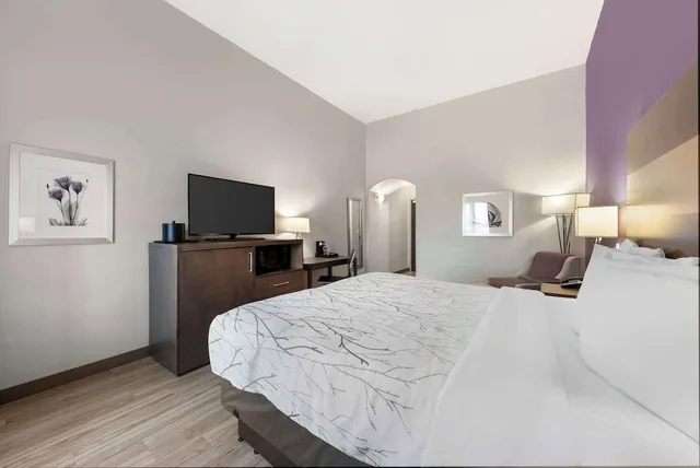 غرفة قياسية بسرير كينج بمطبخ صغير، Best Western Plus Buda Austin Inn and Suites 2/8