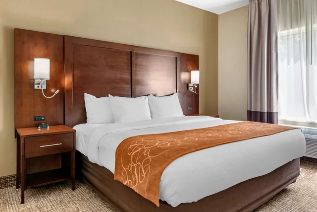 جناح بسرير كينج لذوي الإعاقة، Comfort Suites Auburn Near I-69 2/4