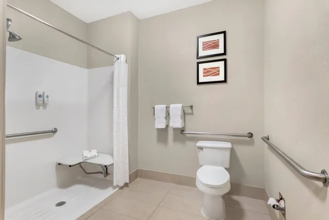 غرفة بسرير كينج لذوي الإعاقة، Comfort Inn Blairsville Butternut Creek 3/3
