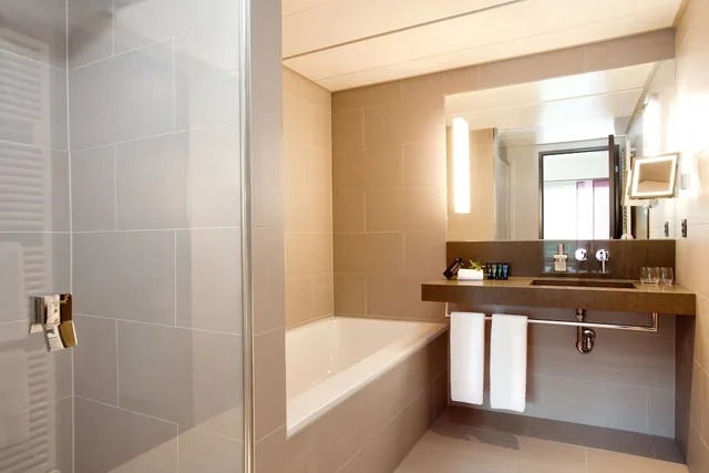 غرفة ديلوكس بسرير مزدوج، Vienna House by Wyndham Zur Bleiche Schaffhausen 3/3