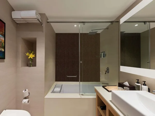 جناح ديلوكس بسرير كينج، Novotel Lucknow Gomti Nagar 5/7