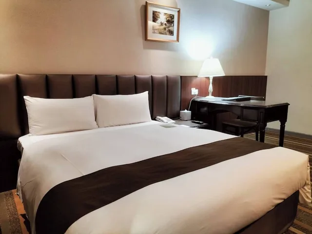 غرفة قياسية مفردة بسرير مزدوج، Urban Hotel 33 1/7
