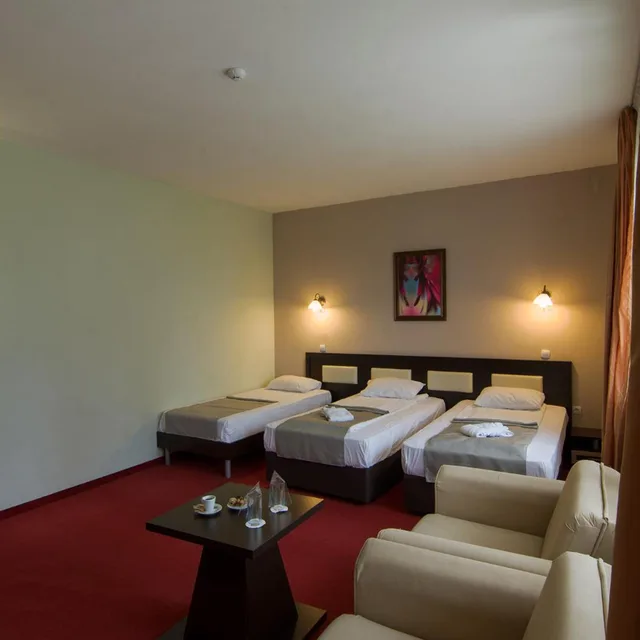 غرفة قياسية بسرير مزدوج أو سريرين منفصلين بشرفة، Pak Hotel Arbanassi 3/6
